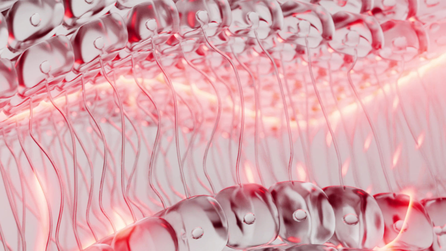 4 Theraputic LED Wavelengths