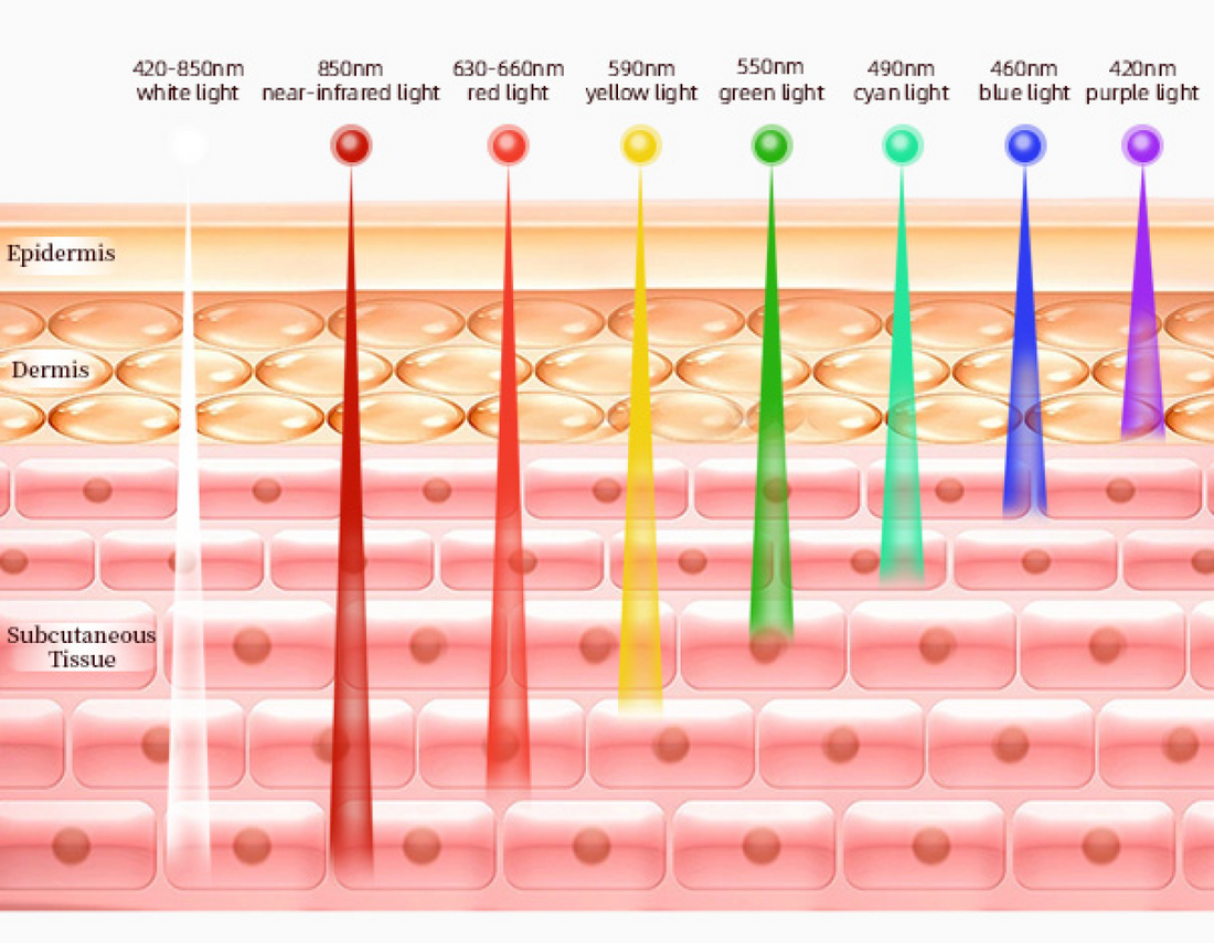 LED Light Therapy Device LED Light Therapy Device