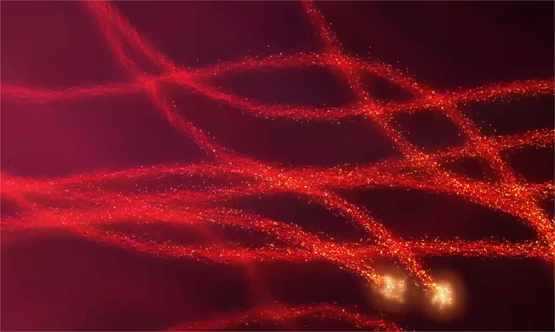 7 Wavelengths for Deep Healing