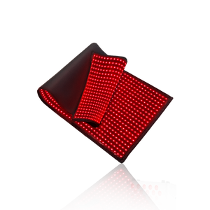 Red and Near-Infrared Light Therapy Bag for Whole Body