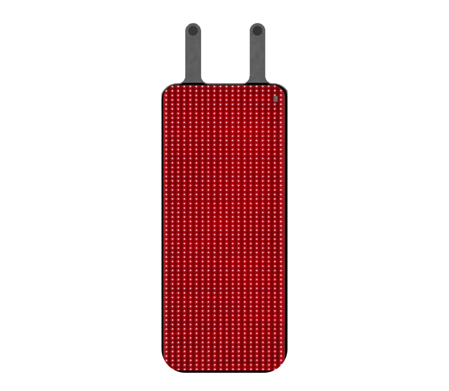 Red and Near-Infrared Light Therapy Bag