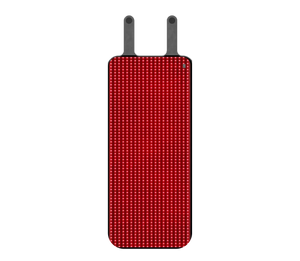 Red and Near-Infrared Light Therapy Bag