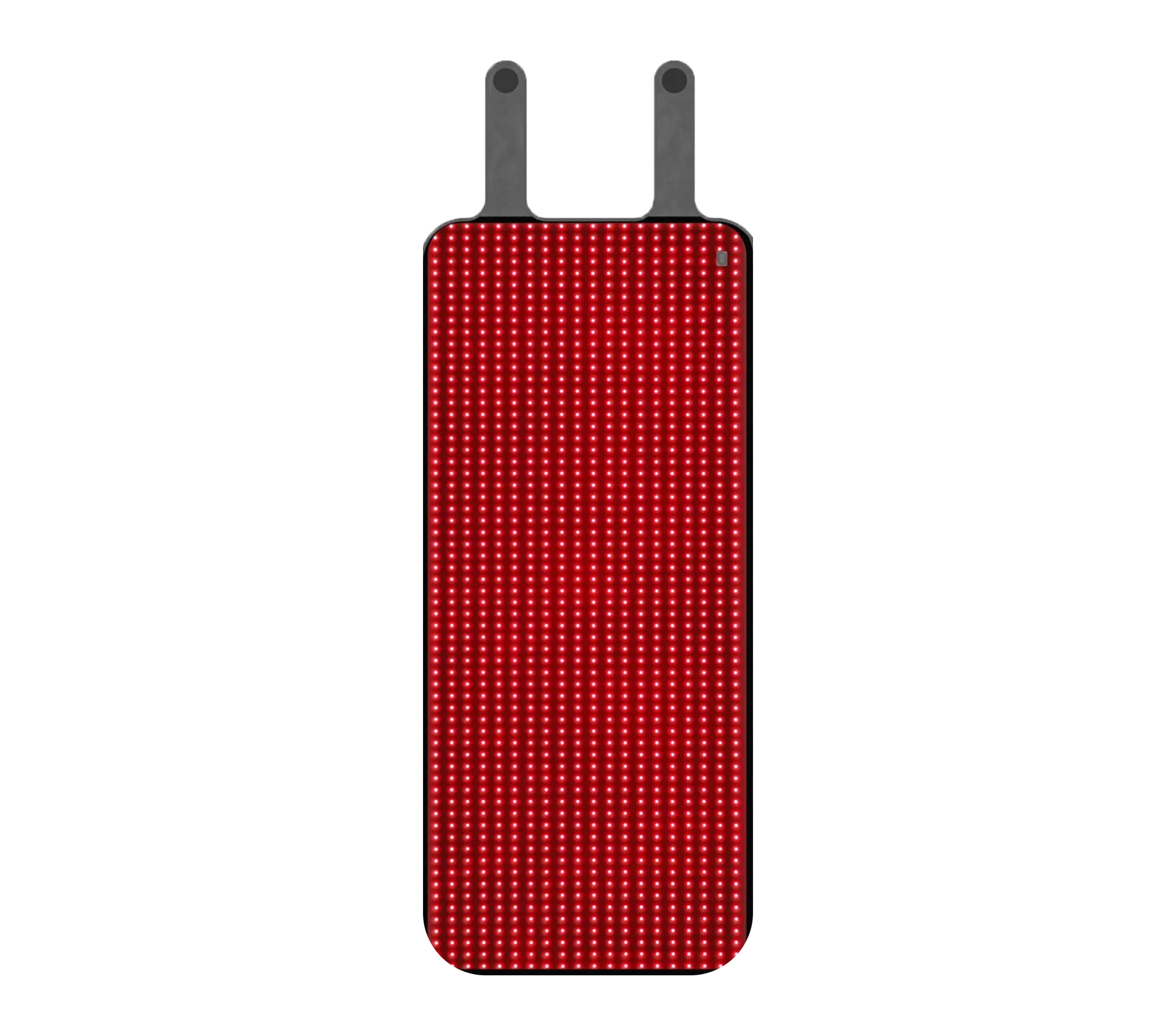 Red and Near-Infrared Light Therapy Bag
